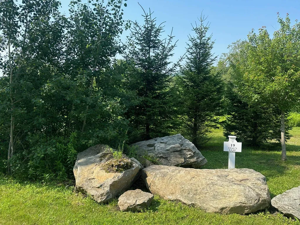 19 Stags Leap Lane Wilmington VT 05363