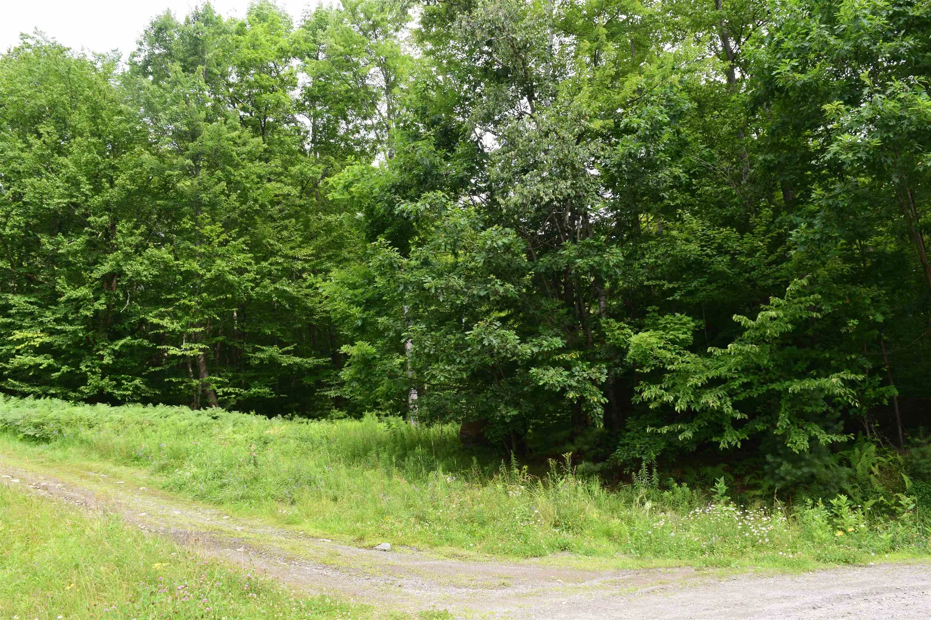 Lot 82 Vernon Drive Haverhill NH 03765
