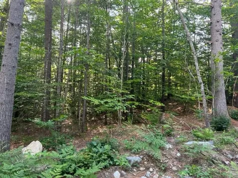 10 Grandval Way Madison NH 03849