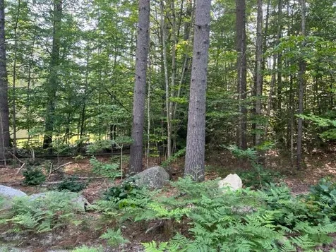 10 Grandval Way Madison NH 03849
