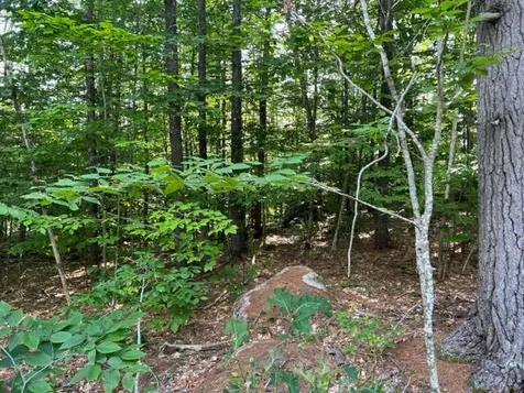 10 Grandval Way Madison NH 03849