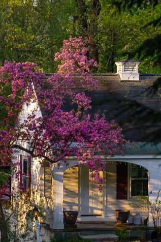 21 Dell Road Springfield VT 05156