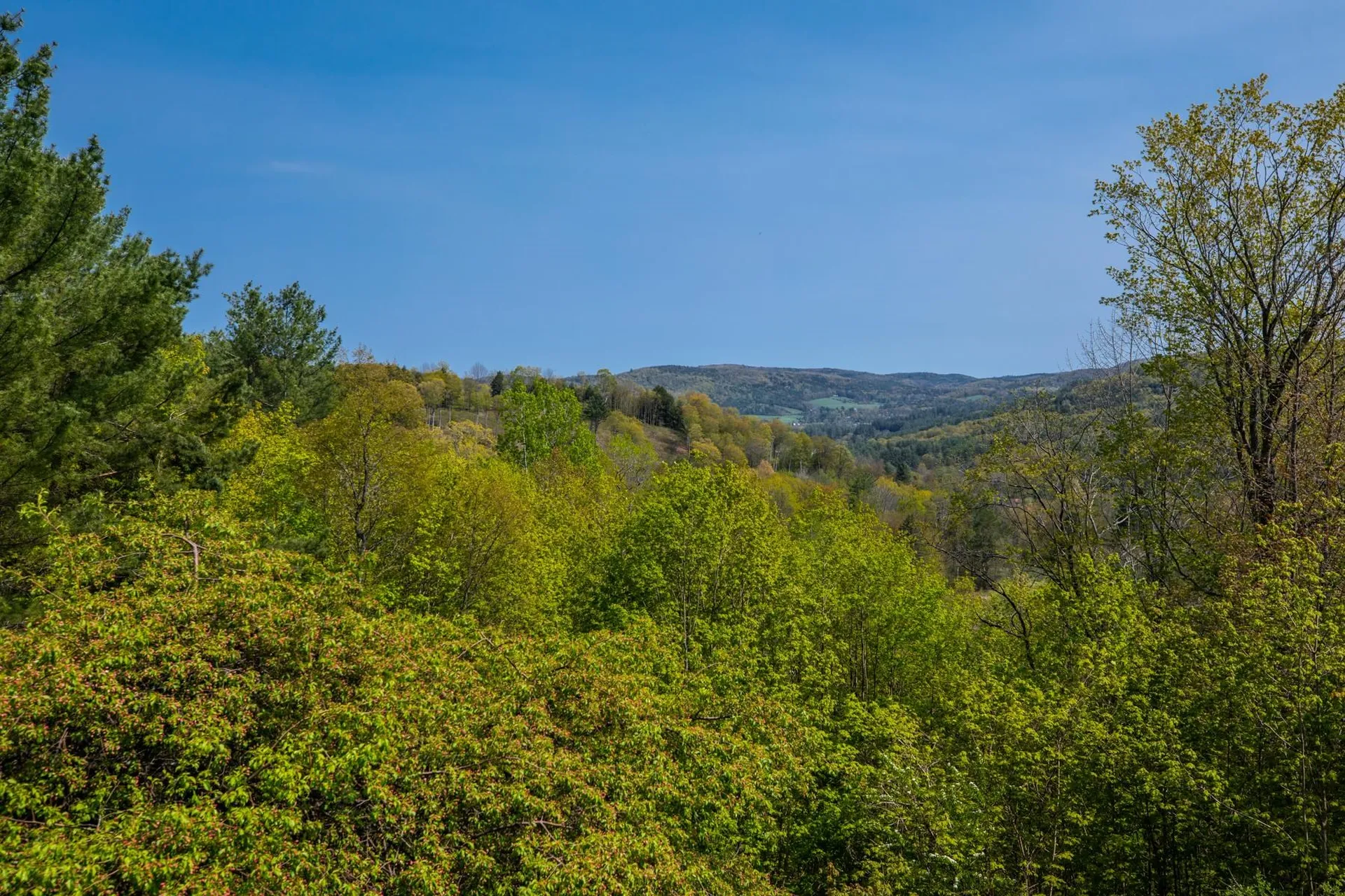 326 Hall Circle Woodstock VT 05091