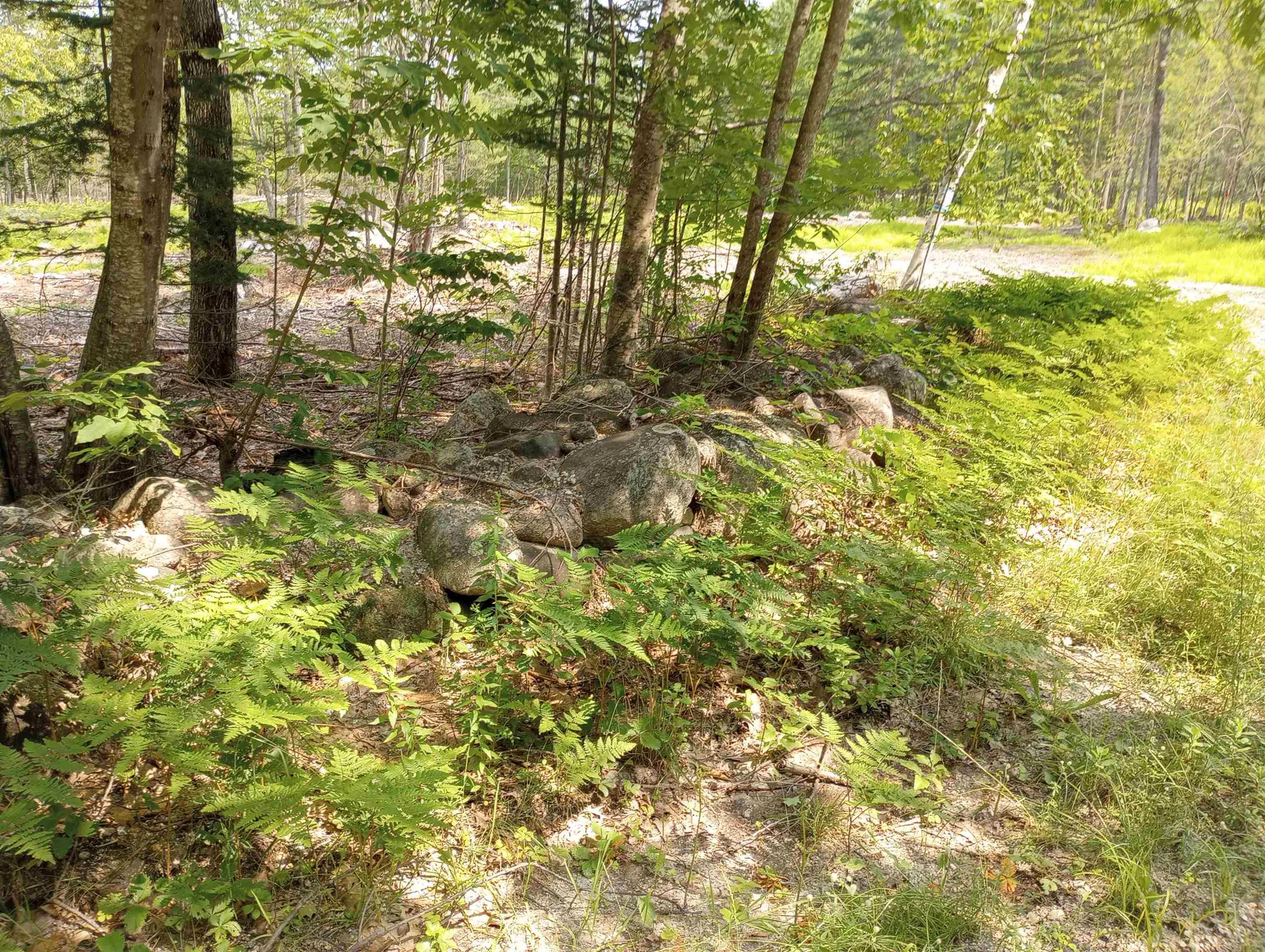 6 Milbrook Road Bridgton ME 04009