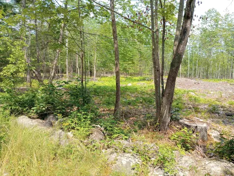 6 Milbrook Road Bridgton ME 04009