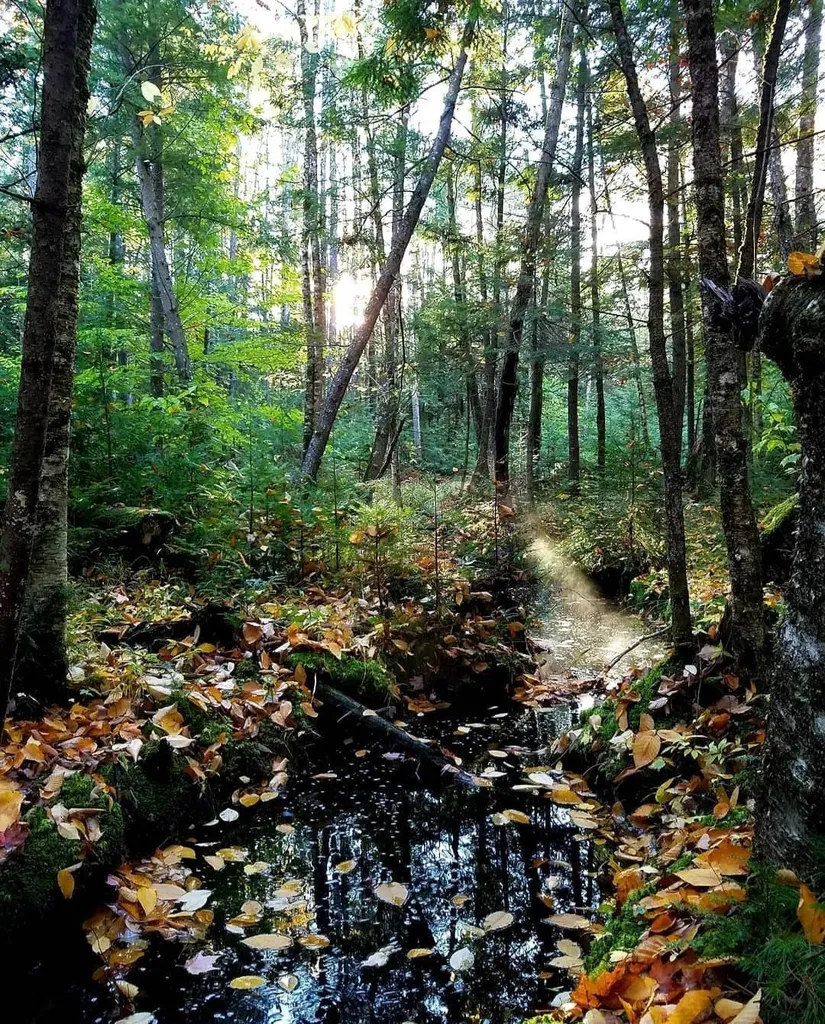 00 Granite Road Ossipee NH 03864