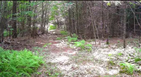 00 Granite Road Ossipee NH 03864
