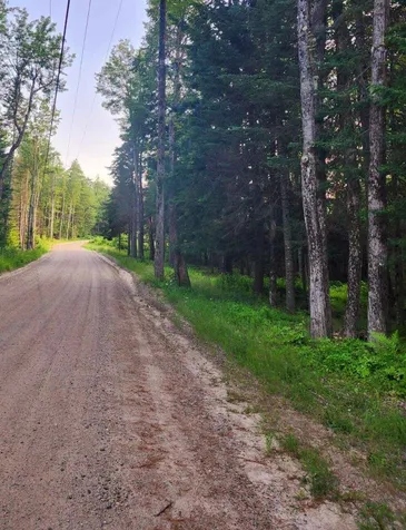 00 Granite Road Ossipee NH 03864