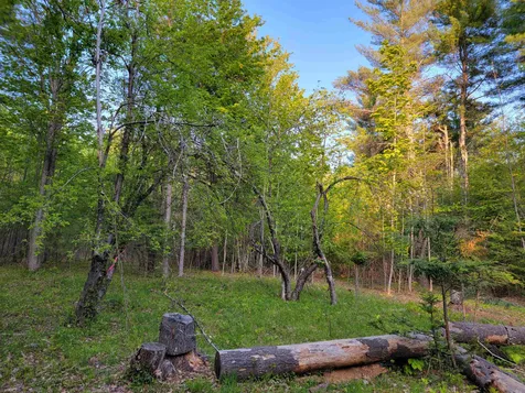 00 Granite Road Ossipee NH 03864