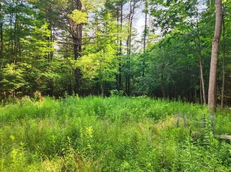 00 Granite Road Ossipee NH 03864