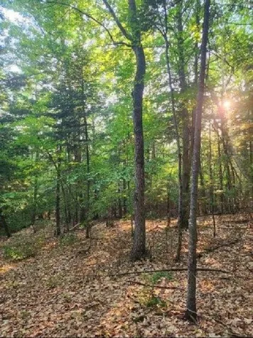 00 Granite Road Ossipee NH 03864