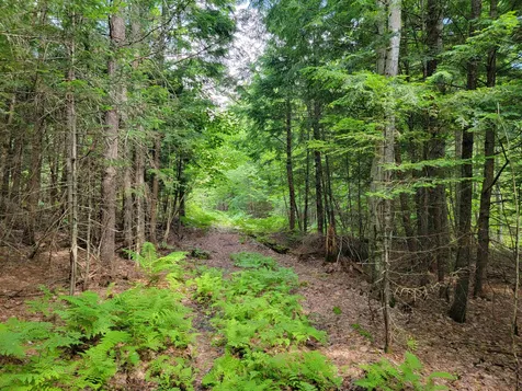 00 Granite Road Ossipee NH 03864