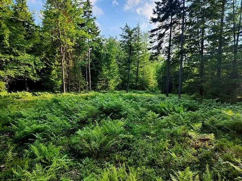 00 Granite Road Ossipee NH 03864