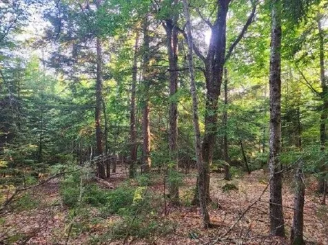 00 Granite Road Ossipee NH 03864