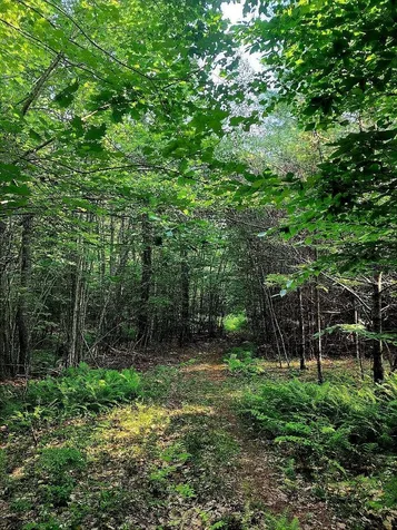 00 Granite Road Ossipee NH 03864