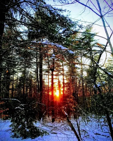 00 Granite Road Ossipee NH 03864