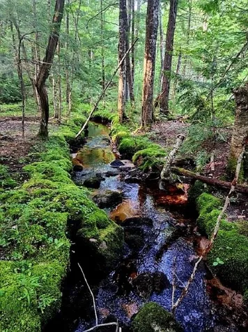 00 Granite Road Ossipee NH 03864