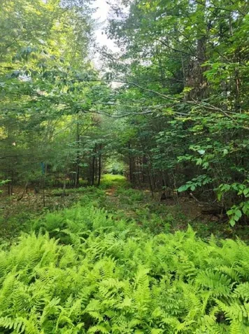 00 Granite Road Ossipee NH 03864