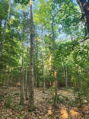00 Granite Road Ossipee NH 03864