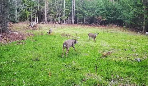 00 Granite Road Ossipee NH 03864