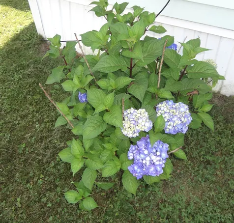 303 Old Lake Shore Road Gilford NH 03249