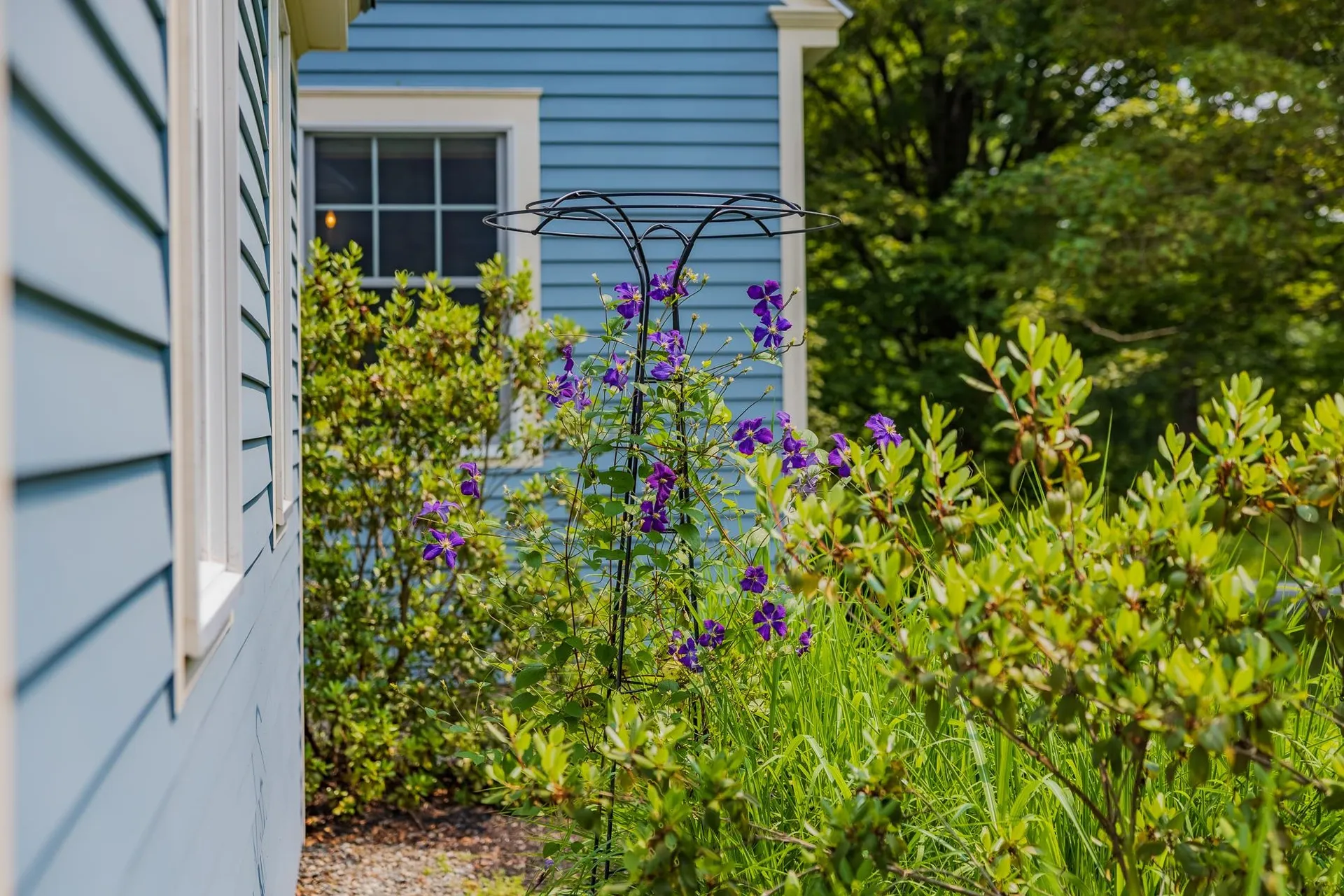 3 Brook Road Hanover NH 03755