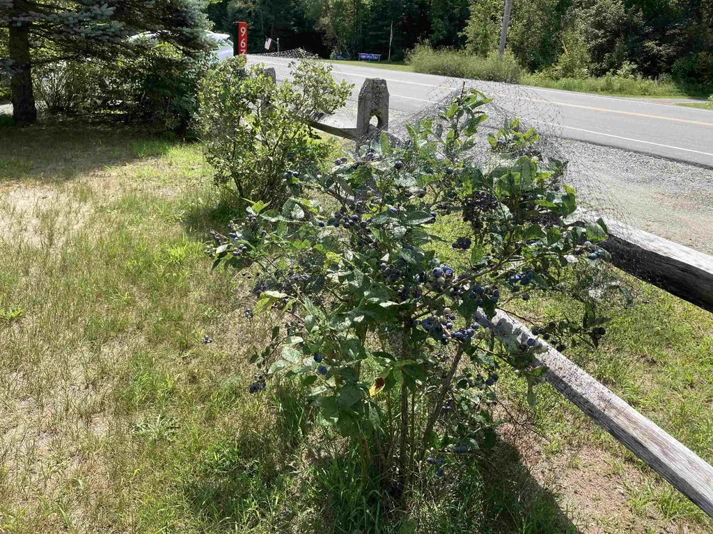 967 Nh Route 118 Canaan NH 03741