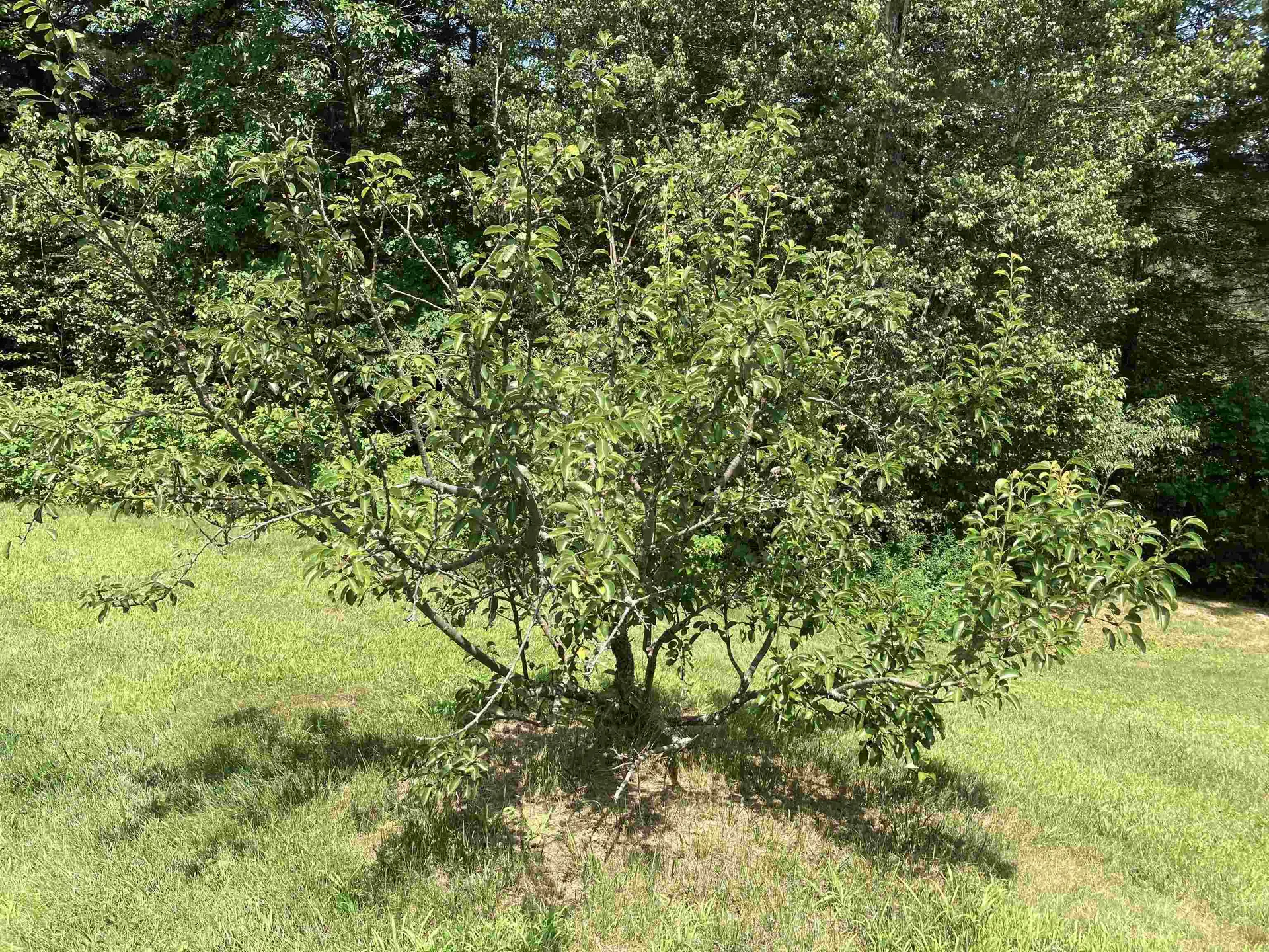 967 Nh Route 118 Canaan NH 03741