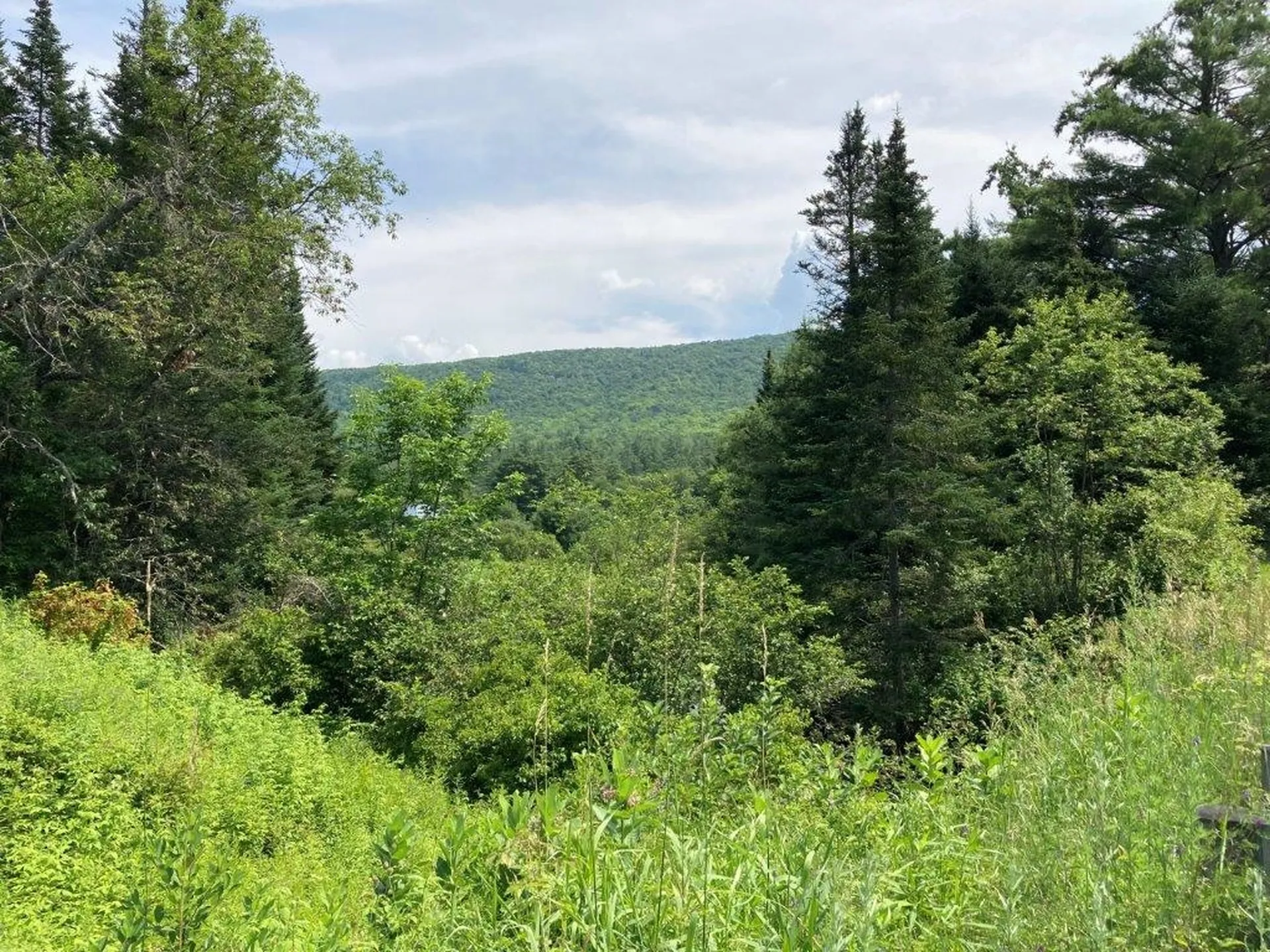 967 Nh Route 118 Canaan NH 03741