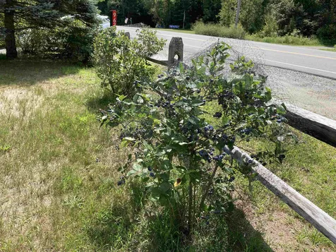967 Nh Route 118 Canaan NH 03741