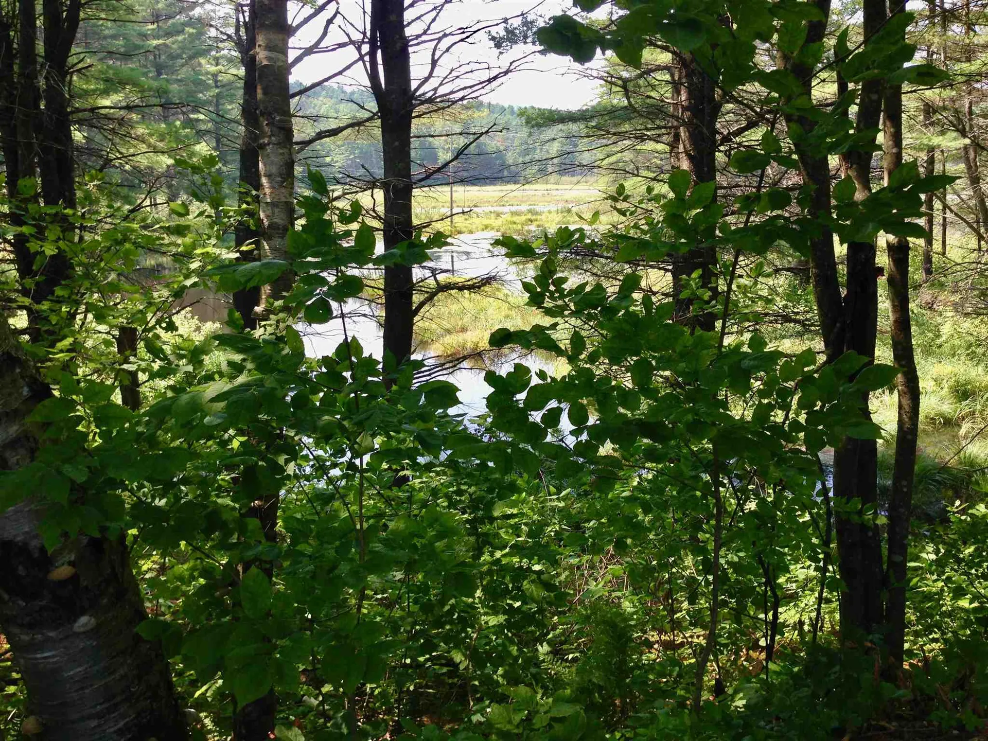 35 Stevens Road Cavendish VT 05142