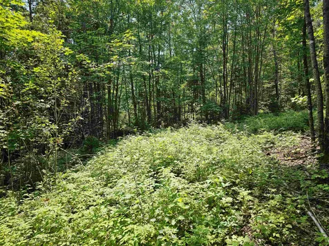 On Trestle Road Danville VT 05828