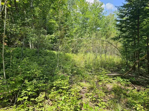 On Trestle Road Danville VT 05828