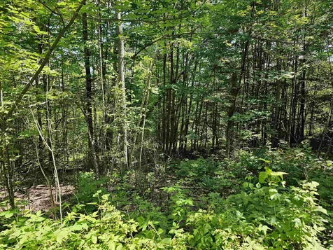 On Trestle Road Danville VT 05828