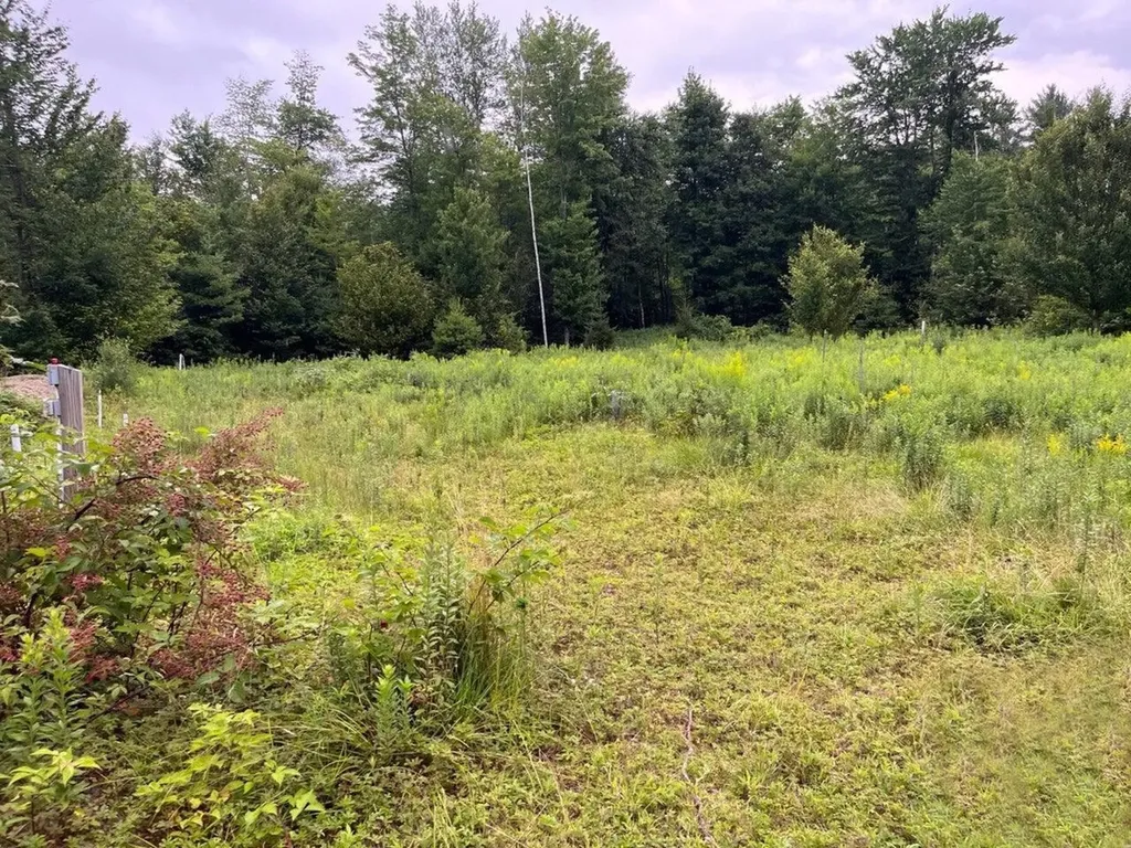 Lot 4 Village Hill Lane Huntington VT 05462