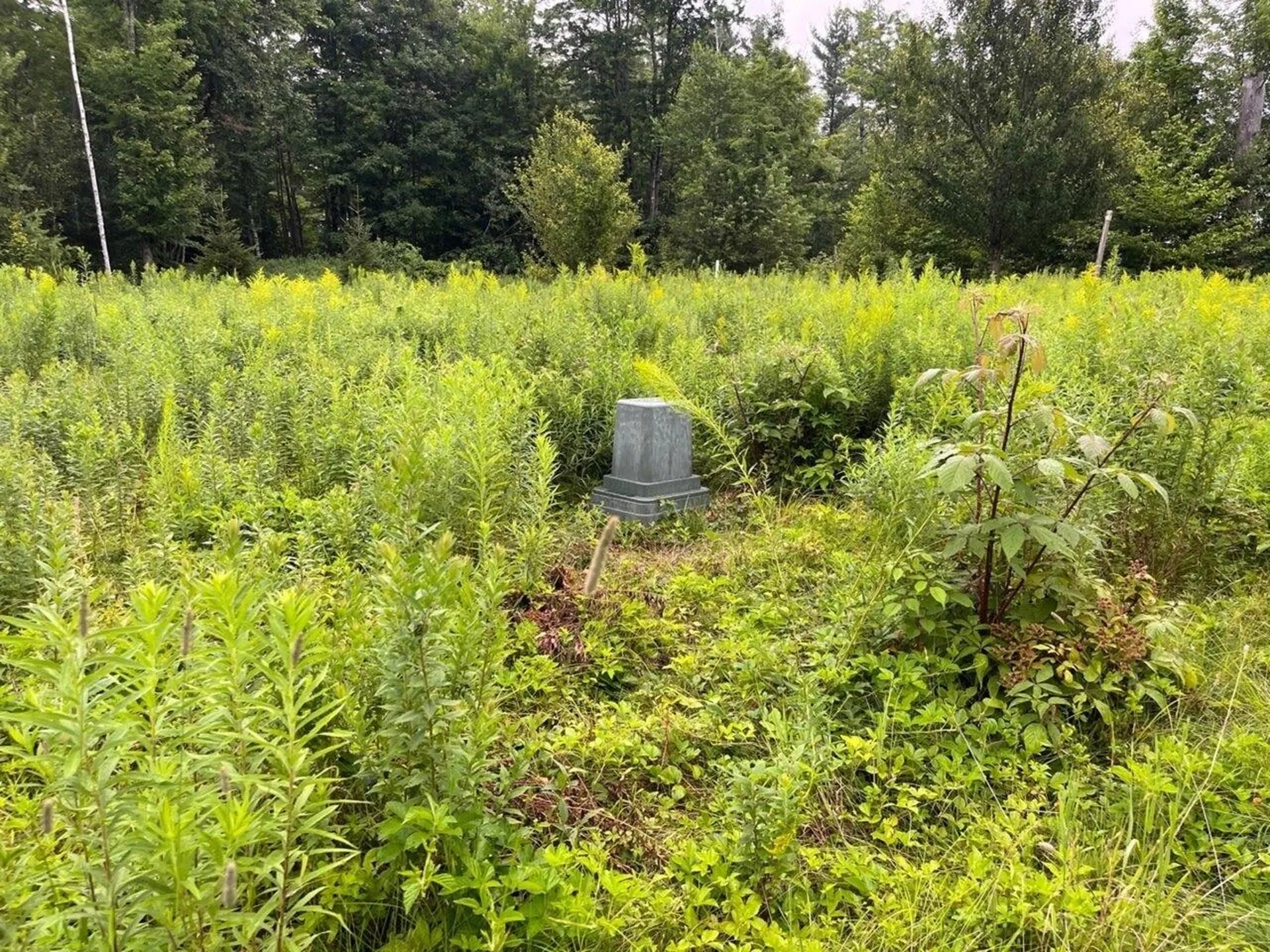 Lot 4 Village Hill Lane Huntington VT 05462