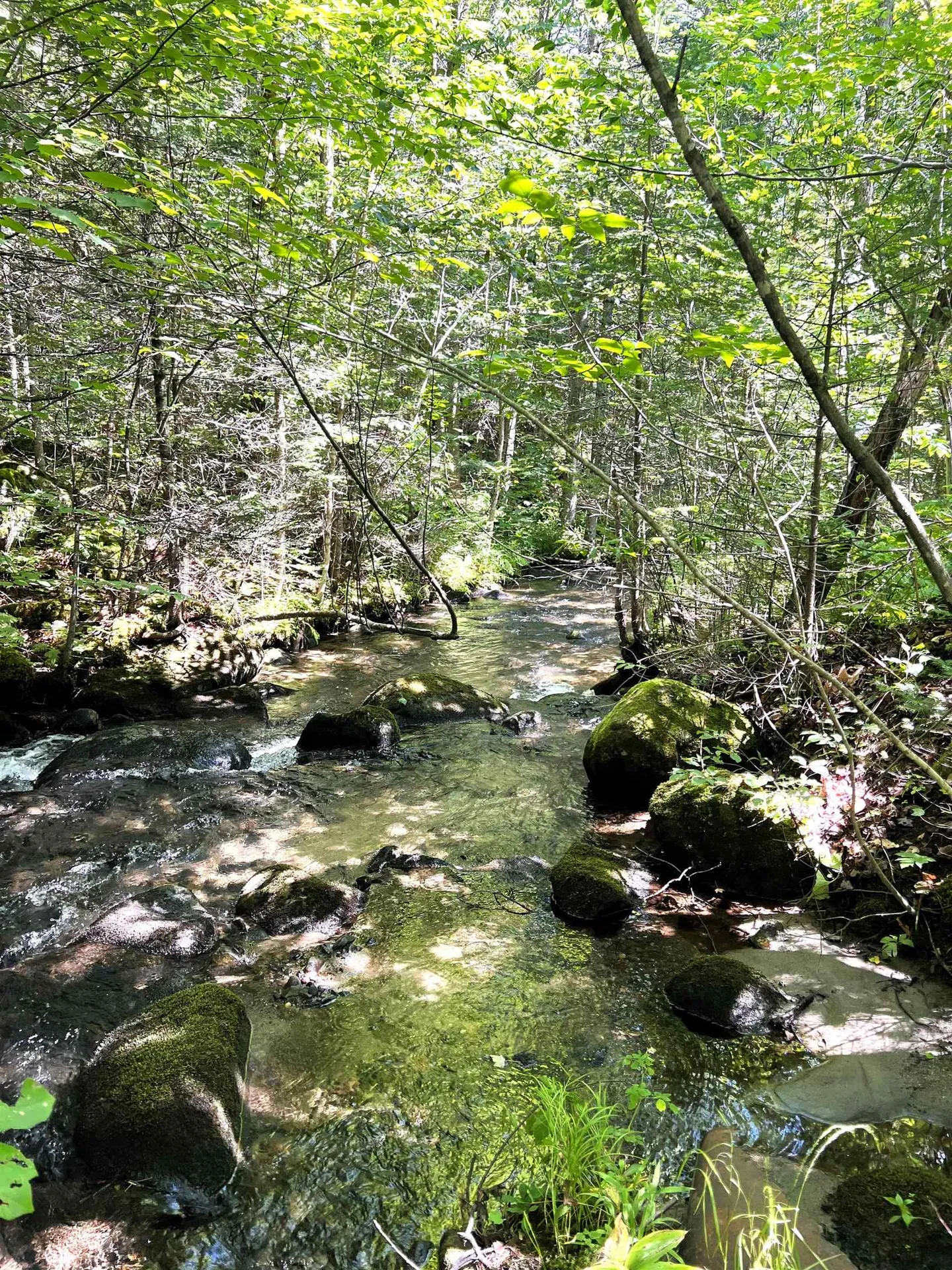 7 Miller Road Dalton NH 03598
