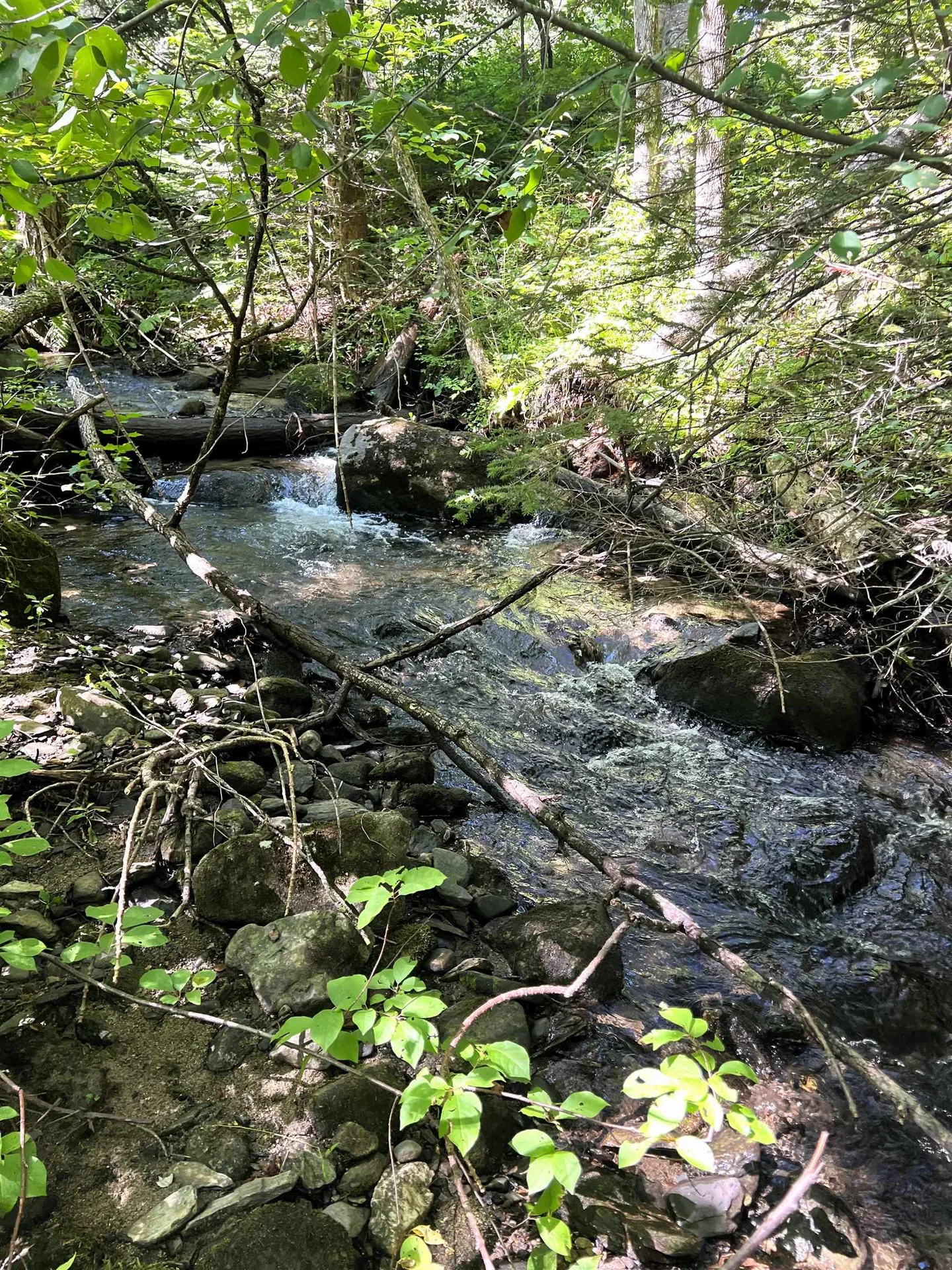 7 Miller Road Dalton NH 03598