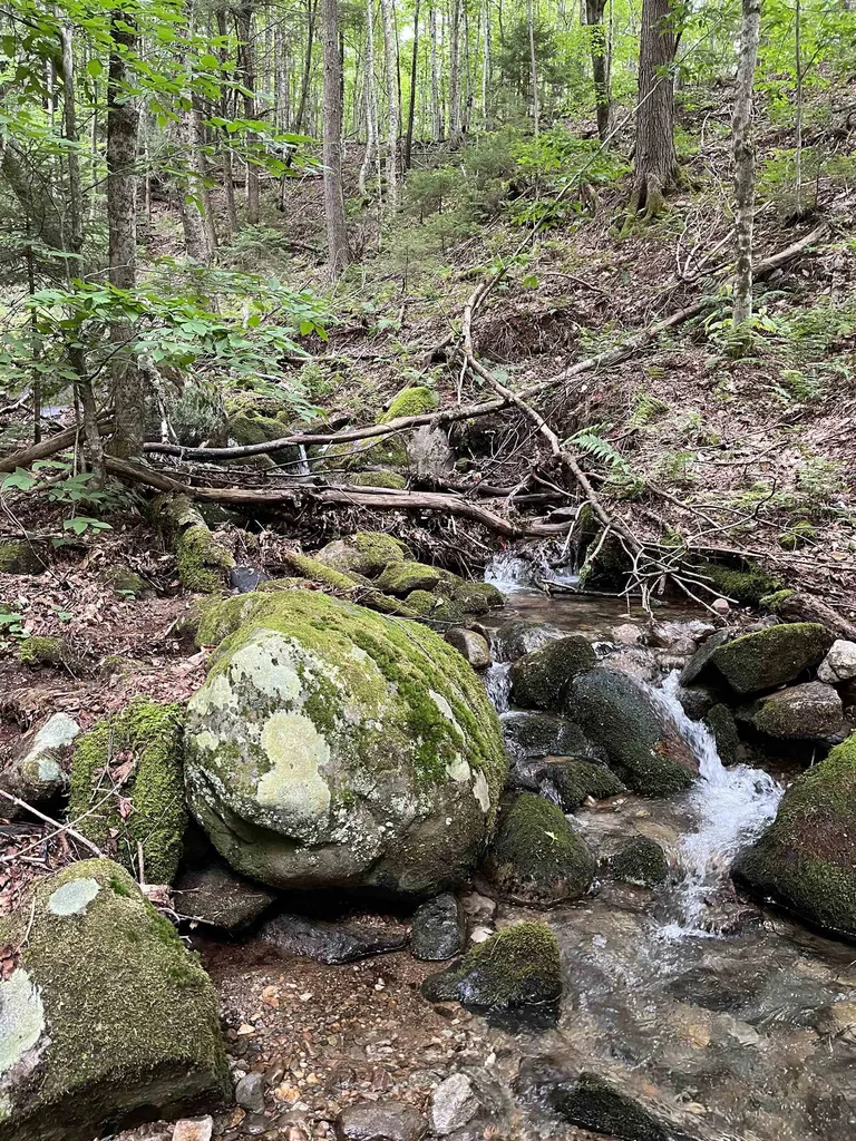 0 Hathaway Road Goshen VT 05733