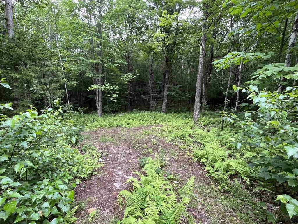 0 Hathaway Road Goshen VT 05733