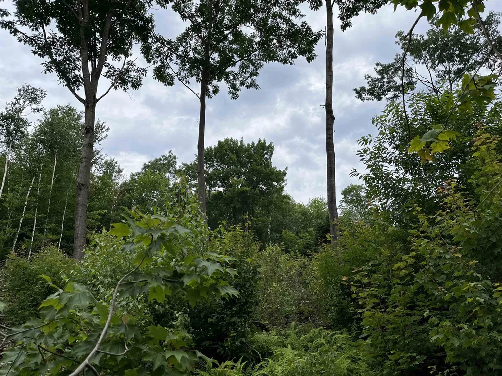 0 Hathaway Road Goshen VT 05733