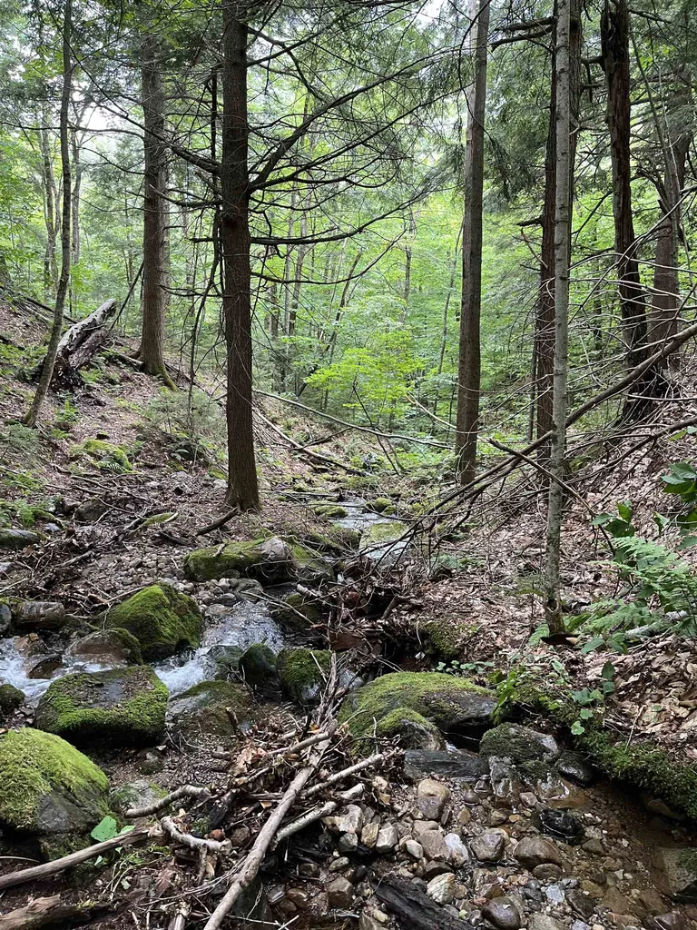 0 Hathaway Road Goshen VT 05733