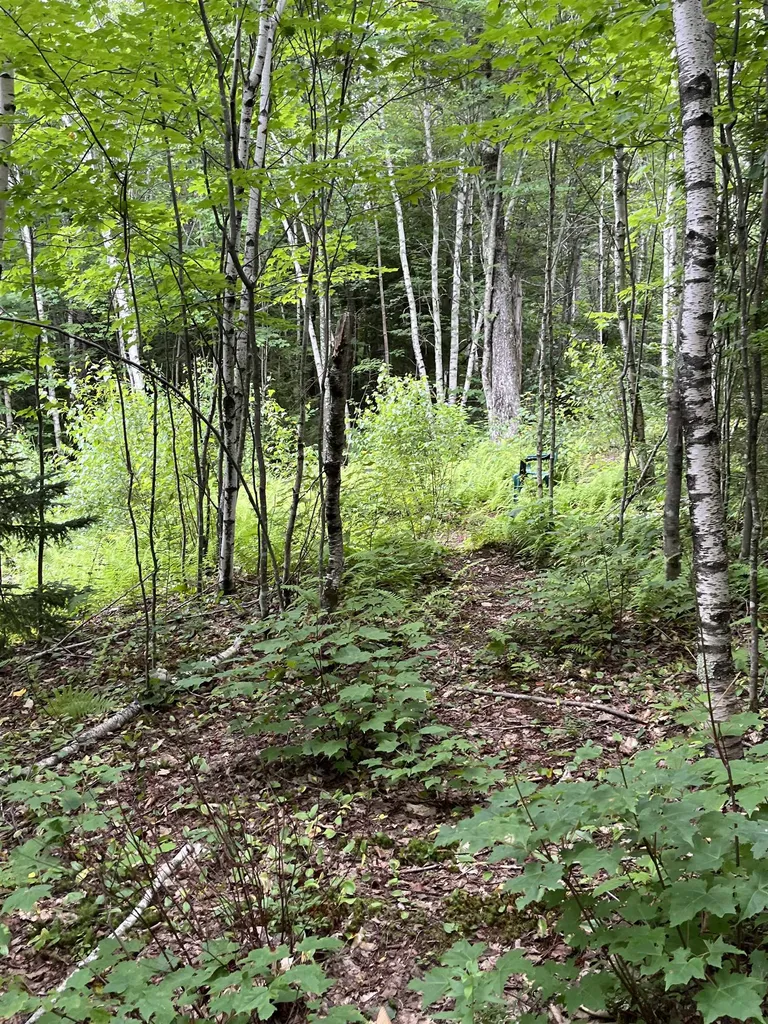 0 Hathaway Road Goshen VT 05733