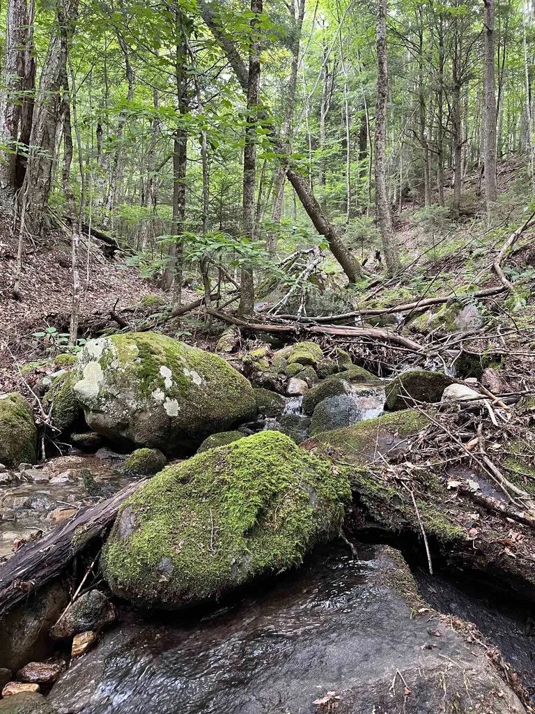 0 Hathaway Road Goshen VT 05733