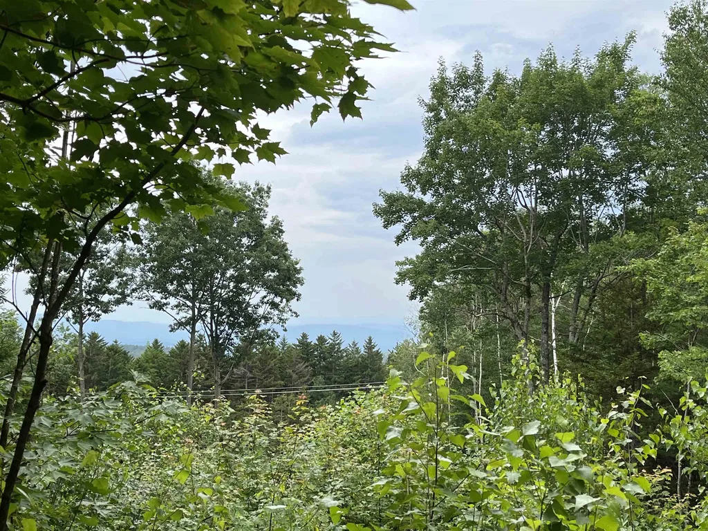 0 Hathaway Road Goshen VT 05733