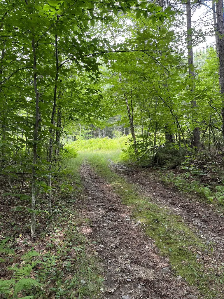 0 Hathaway Road Goshen VT 05733