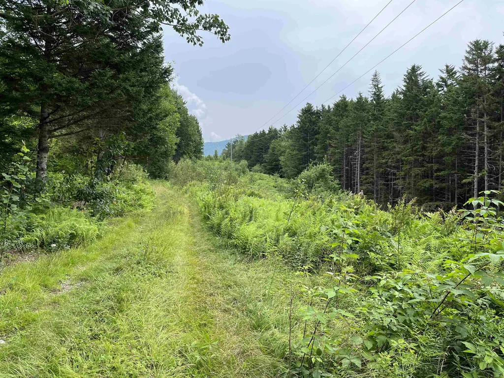 0 Hathaway Road Goshen VT 05733