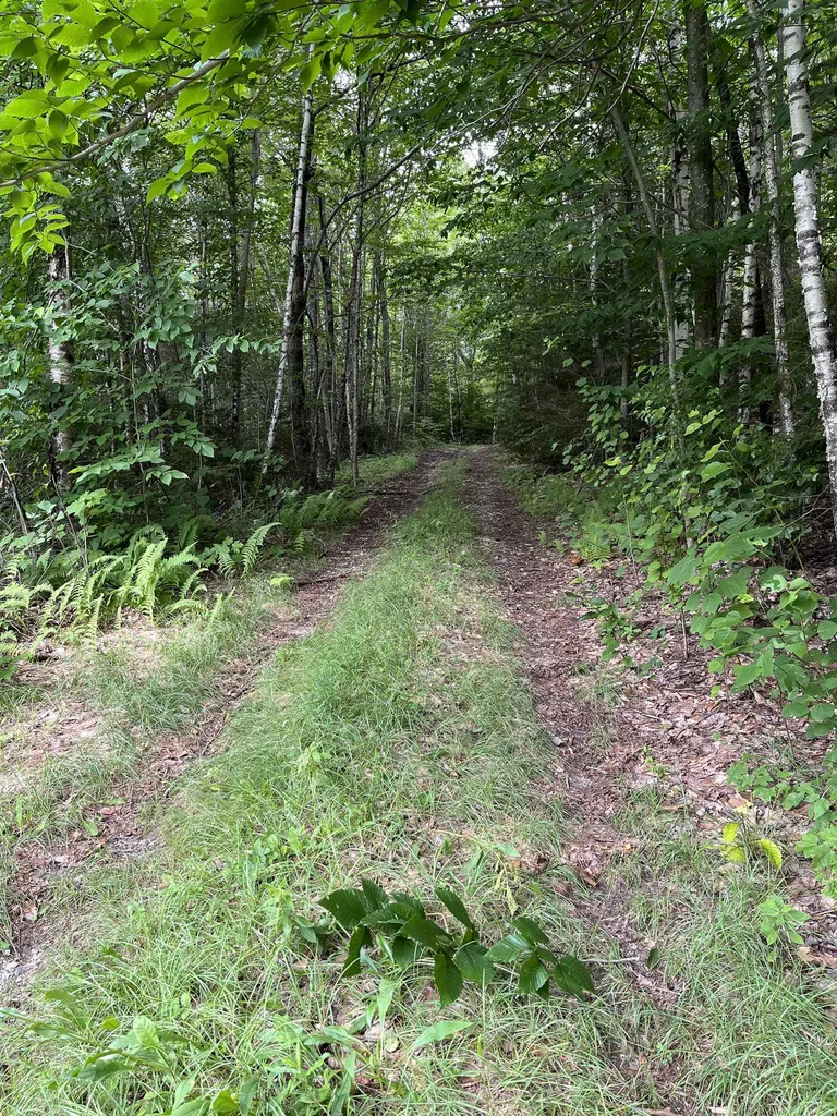 0 Hathaway Road Goshen VT 05733