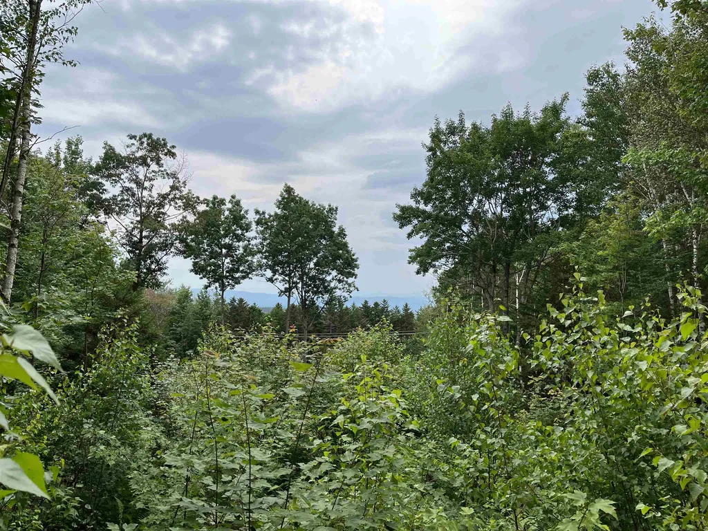 0 Hathaway Road Goshen VT 05733