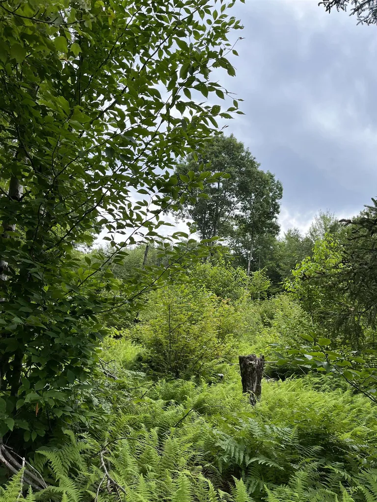 0 Hathaway Road Goshen VT 05733